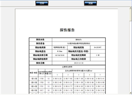 电梯污污APP黄瓜视频在线观看自动探伤系统检测报告